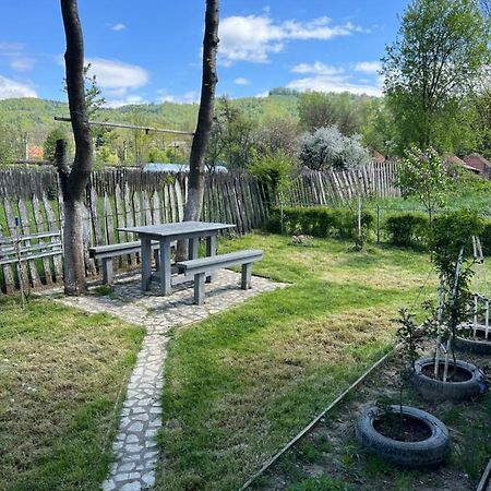 Green Garden Petroşani エクステリア 写真